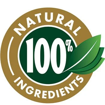 Digestistart all natural ingredients